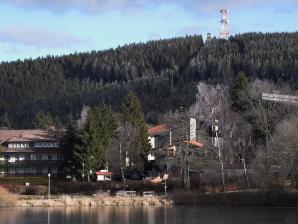 Hahnenklee, im Hintergrund der Bocksberg