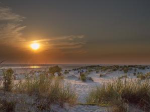 In den Dünen von Borkum