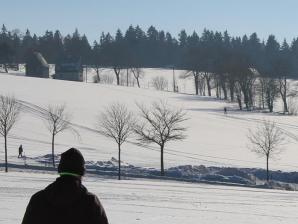 Breitenbrunn im Winter