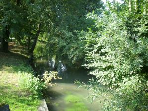 Bachlauf der Elsenz in Ittlingen