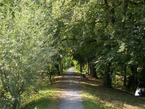 direkt daneben ein idyllischer Spazierweg