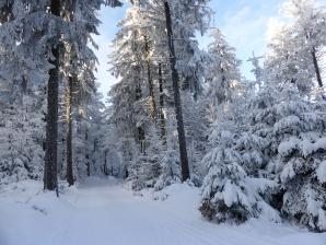 Winteridylle auf dem Bergkamm in Richtung Knogl und Hirschenstein