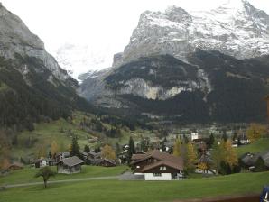Grindelwalds Gebirgsnatur