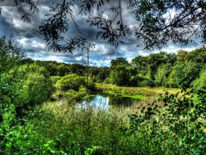 Resser See, Naturschutzgebiet „Im Emscherbruch, nördlich des Ewaldsees