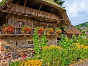 Museumsareal Historischer Speicher & Alte Mühle