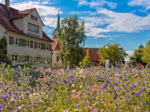 Opfenbach im Westallgäu Panorama