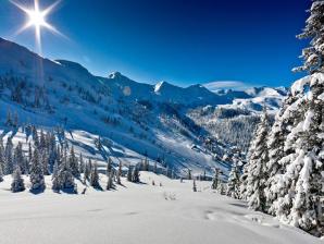 Familienskigebiet Planneralm