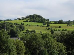 Blick vom Südhang des Stein bei Poppenhausen südwärts zum Kühküppel