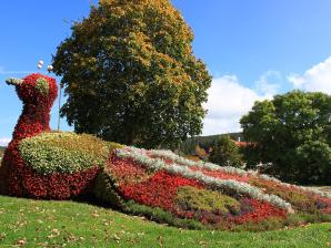 Der Blumenpfau von Schluchsee 