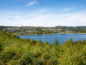 Blick auf den Sorpesee