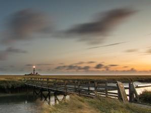 Salzwiese mit Leuchtturm Westerheversand