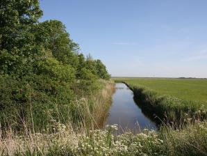 Entwässerungsgraben in Westerhever