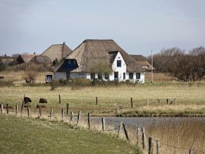 Westerhever Deichstraße 10