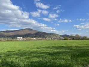 Zwingenberg an der Bergstraße Odenwald