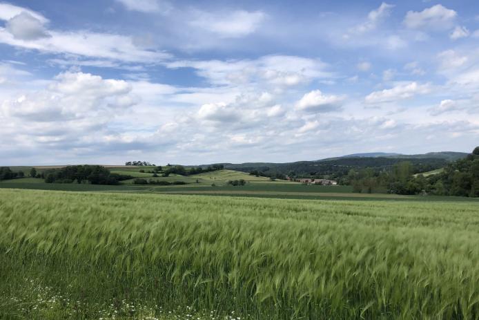 Waldreiche Umgebung zum Wandern und Erkunden