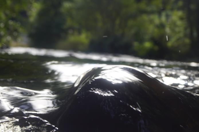 Wasser fließt in der Pockau sanft über einen Stein