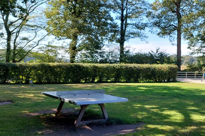 Wiese, Tischtennisplatte, Lagerfeuerstelle