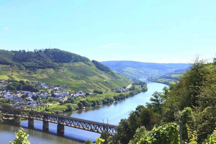 Blick ins Moseltal Kövenig