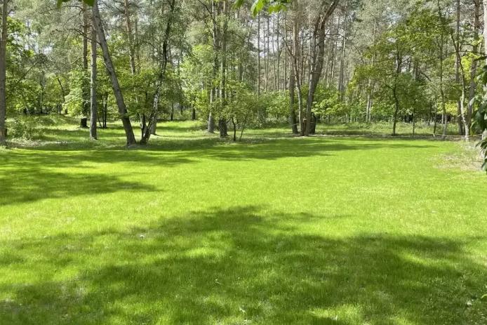 Zeltplatzwiese im Wald