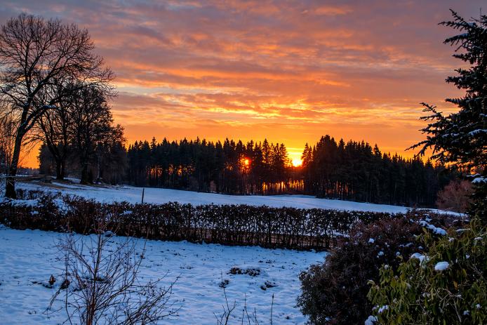 vom Fenster OG Richtung Osten