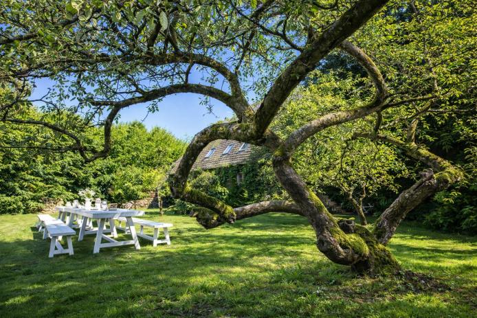 Der große Garten mit alten Obstbäumen lädt zum entspannen ein.