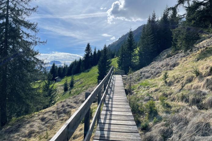 Hängebrückenrundweg