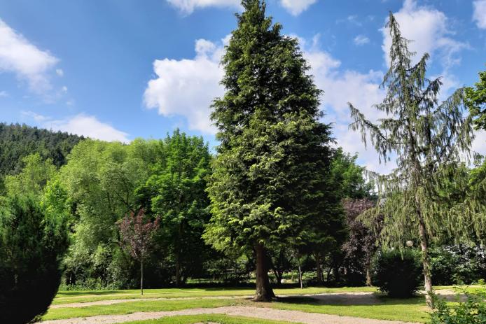 Kurpark direkt hinter dem Haus mit Minigolfplatz (Neueröffnung August 2024)