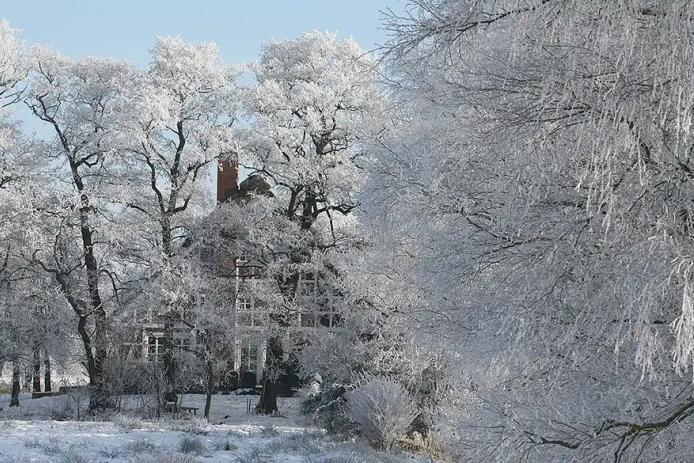 Erlenhof im Schnee