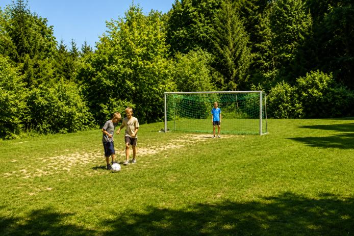 Fußballwiese (2000 m²)