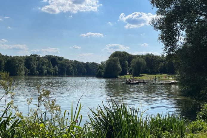 Der Wendebach-Stausee in der Nähe