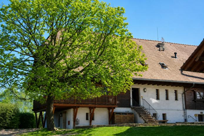 Freizeithof Langenhard im Südschwarzwald