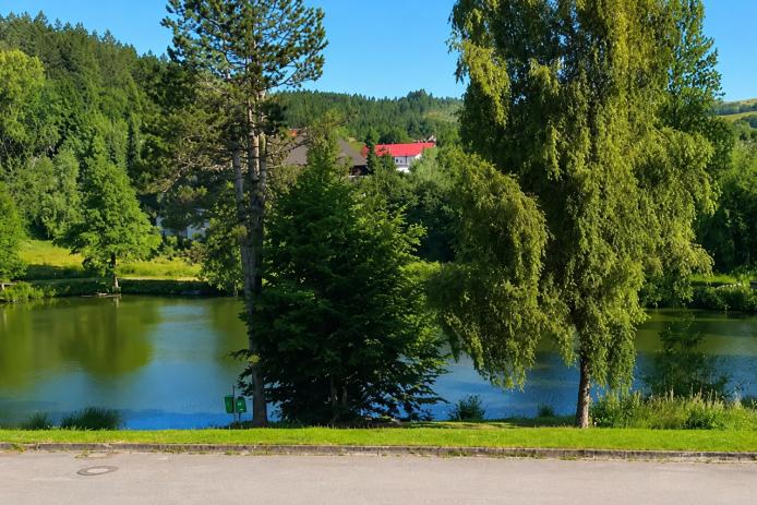 Kleiner Natur-See in unmittelbarer Nachbarschaft