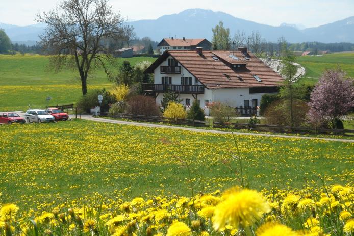 Gruppenhaus-Alpen im Allgäu