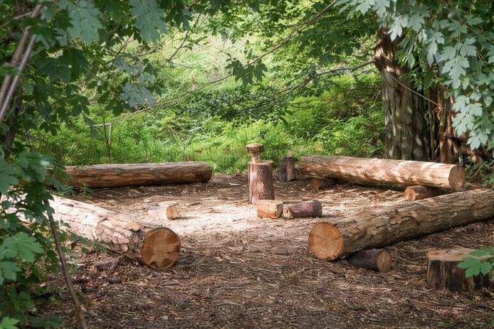 grünes Klassenzimmer