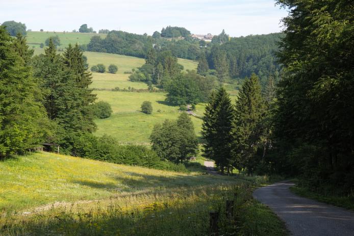 Im Naturpark Hohes Venn