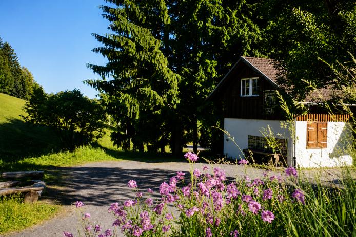 Moosybärhütte in Todtmoos - Schwarzwald
