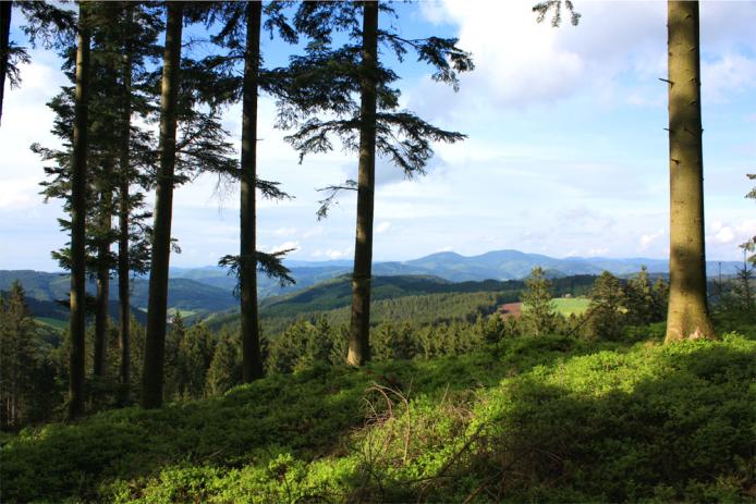 Wunderschöne Ausblicke bei Spaziergängen und Wanderungen im Schwarzwald
