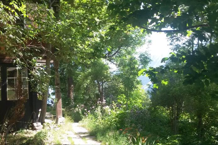 Der wunderschöne Garten