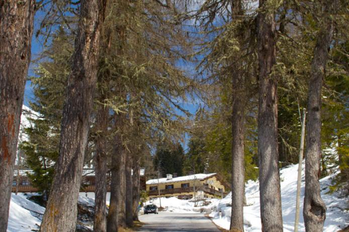 die letzten Meter vor dem Berghof