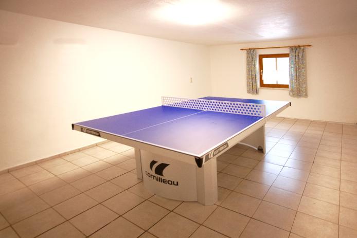 Profi Tischtennisplatte