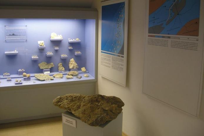 Alte Schmiede / Haus der Fossilien am Naturzentrum Eifel