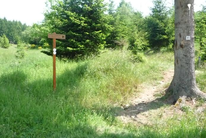 Löwenzahn-Erlebnispfad mit 20 spannenden Stationen