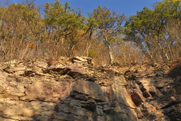 Versteinertes Korallenriff an den historischen Werkhäusern in Nettersheim
