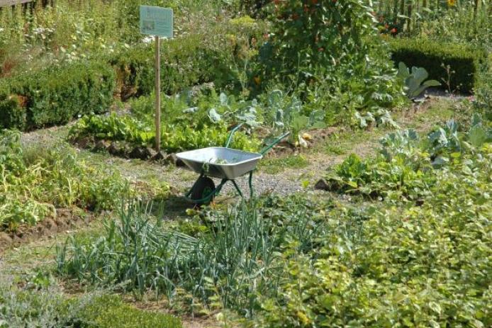 Bauerngarten am Naturzentrum Eifel
