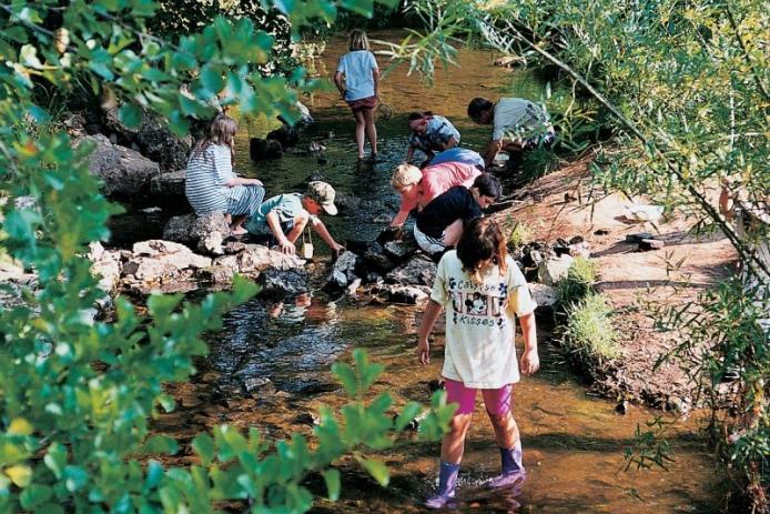 Die Urft am Naturzentrum Eifel