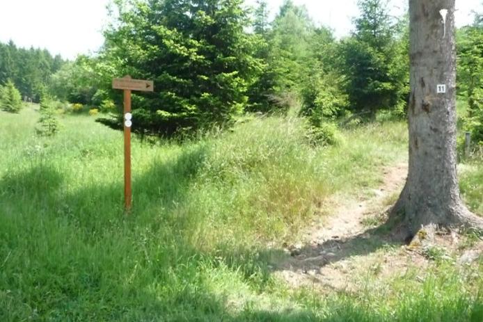 Löwenzahn-Erlebnispfad