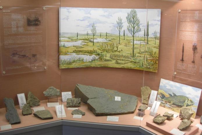 Haus der Fossilien am Naturzentrum Eifel
