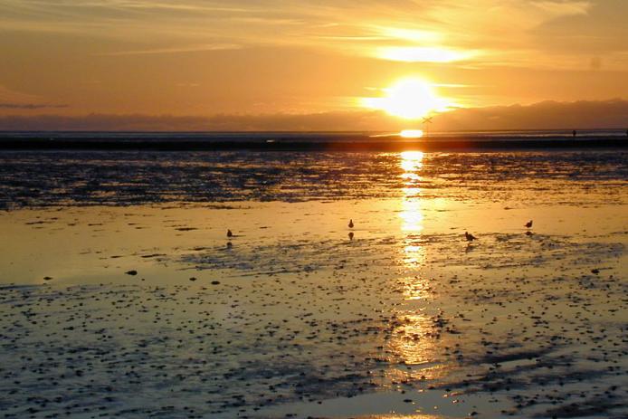 Sonnenuntergänge, unbeschreiblich am Deich genießen
