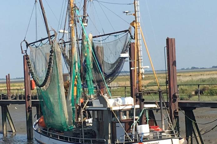 Die Hamburger Hallig, Inselbesuche, Föhr, Amrum, Sylt, einfach ein muss.