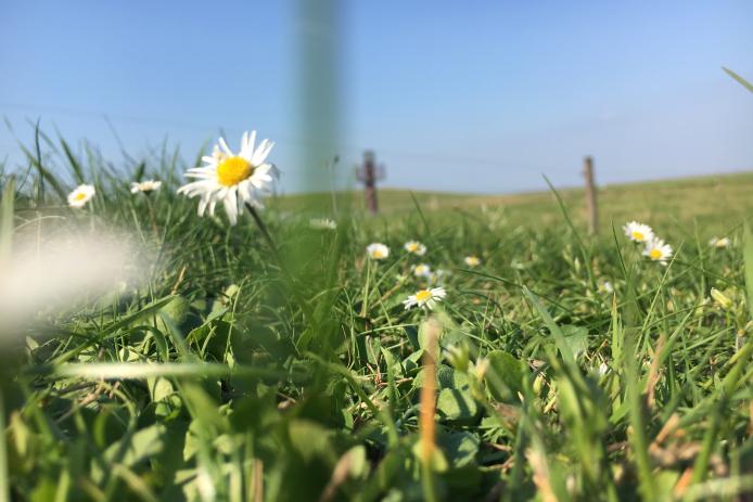 Hier ist die Natur noch in Ordnung und man kann richtig durchatmen